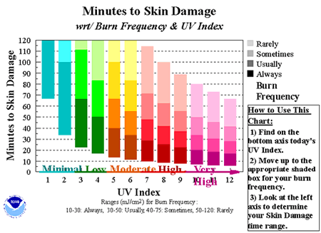 Skin Damage Chart